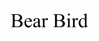 bear bird