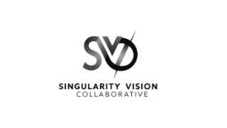 singularity vision collaborative