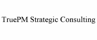 truepm strategic consulting