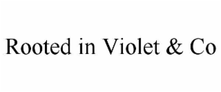 rooted in violet & co