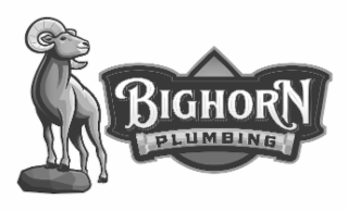 bighorn plumbing