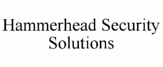 hammerhead security solutions
