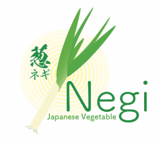 negi japanese vegetable