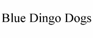blue dingo dogs