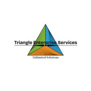 triangle enterprise services unlimited solutions