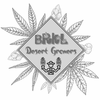 brill desert growers