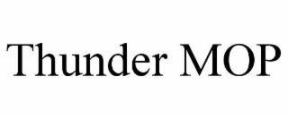 thunder mop