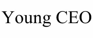young ceo