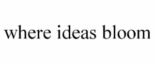 where ideas bloom