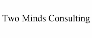 two minds consulting