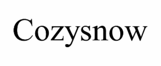 cozysnow