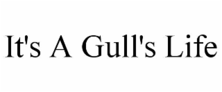 it's a gull's life