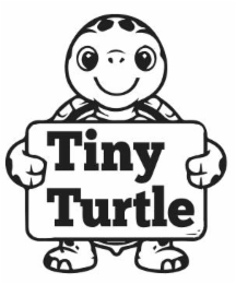 tiny turtle