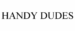 handy dudes