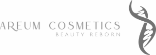 areum cosmetics beauty reborn