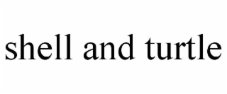 shell and turtle