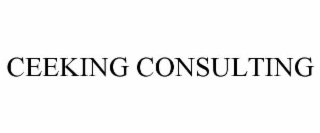 ceeking consulting
