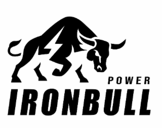 ironbull power