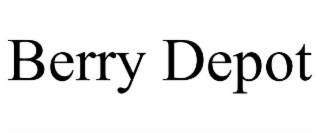 berry depot
