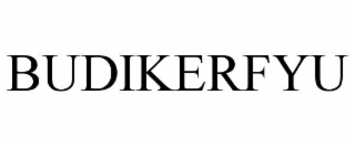 budikerfyu