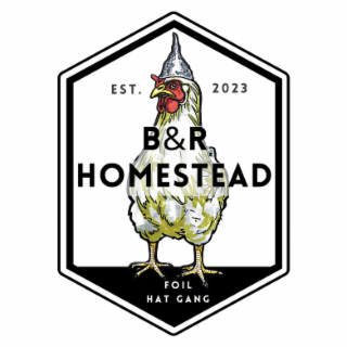 b&r homestead foil hat gang est. 2023