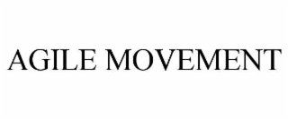 agile movement