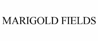 marigold fields