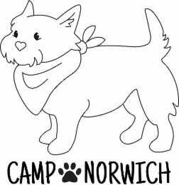 camp norwich