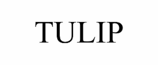 tulip