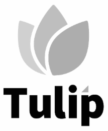 tulip