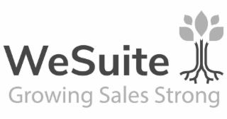 wesuite growing sales strong