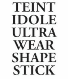 teint idole ultra wear shape stick