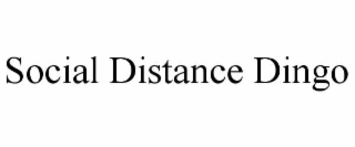 social distance dingo