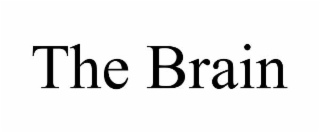 the brain