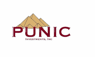 punic investments, inc