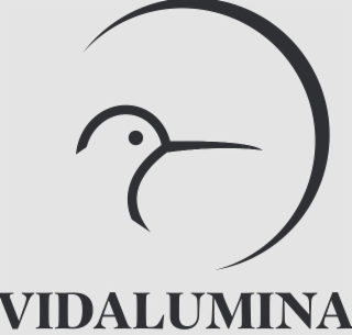 vidalumina
