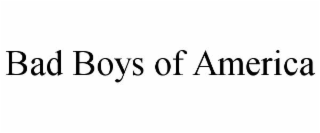 bad boys of america