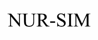 nur-sim