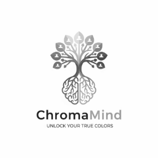 chromamind unlock your true colors