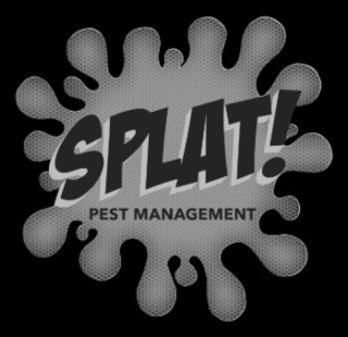 splat! pest management