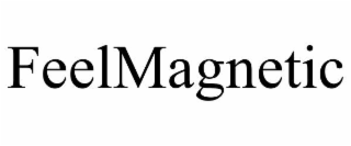 feelmagnetic