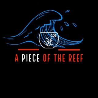 a piece of the reef