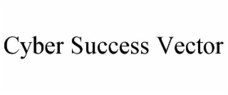 cyber success vector