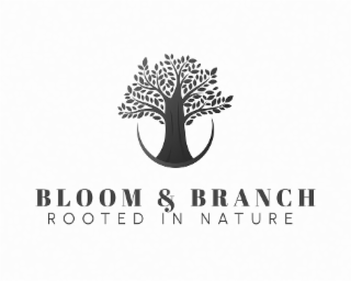 bloom & branch rooted in nature