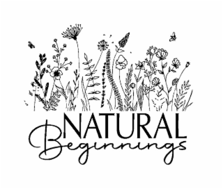 natural beginnings
