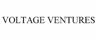 voltage ventures