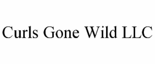 curls gone wild llc