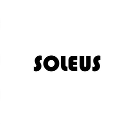 soleus