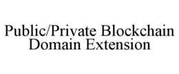 public/private blockchain domain extension