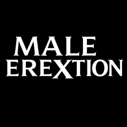 male erextion
